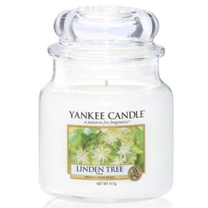 Yankee Candle Linden Tree Medium Jar