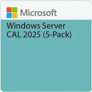 Microsoft Windows Server 2025 5 User CAL DSP License